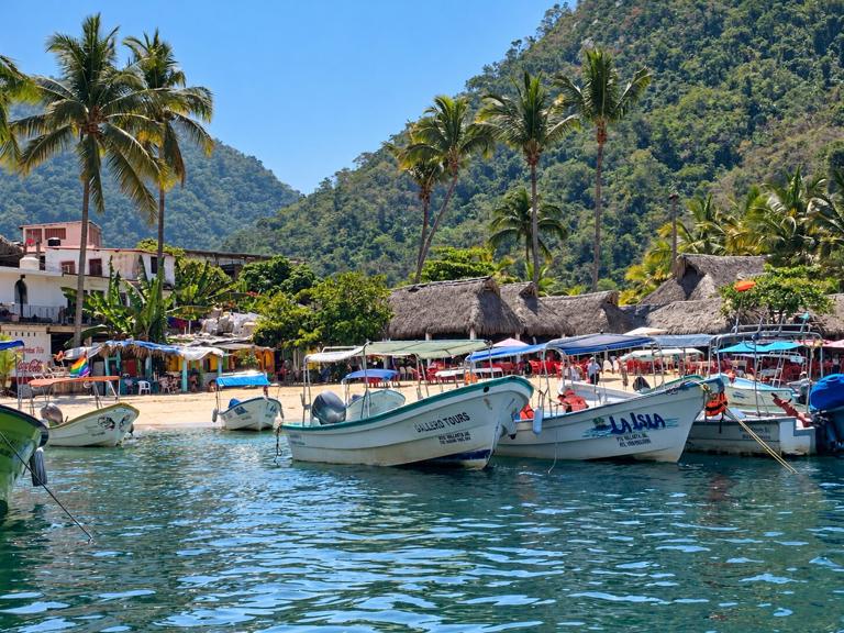 Boats along the Puerto Vallarta coastline with palms and mountains