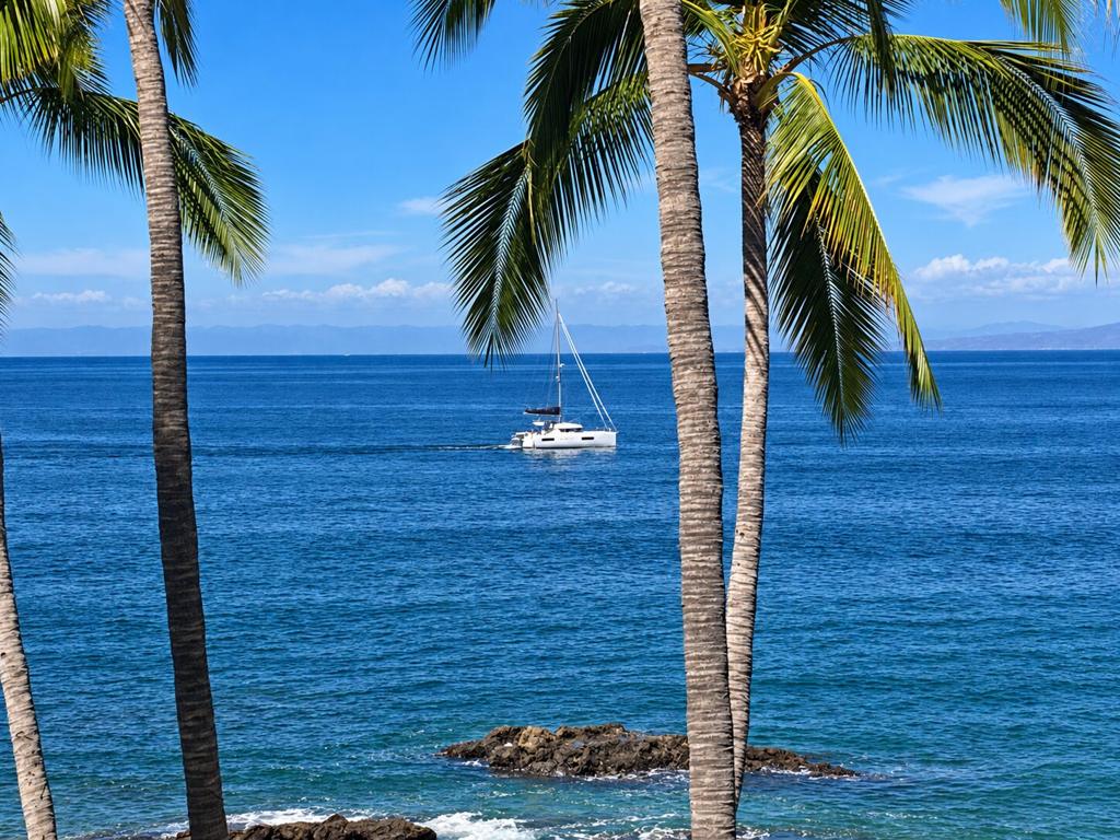 Catamaran on the bay seen between palm trees in Puerto Vallarta