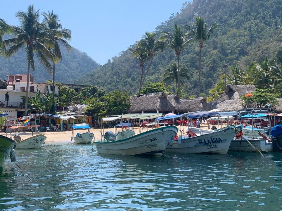 Boats along the Puerto Vallarta coastline with palms and mountains